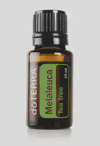 &ldquo;Melaleuca&rdquo;